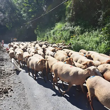Σπίτι διακοπών La Cle De L'arboux *