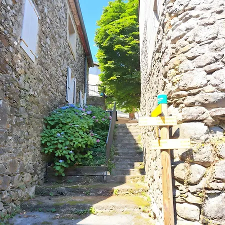 La Cle De L'arboux