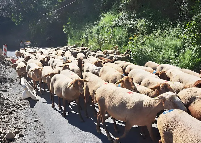 بيت للعطل La Cle De L'arboux *